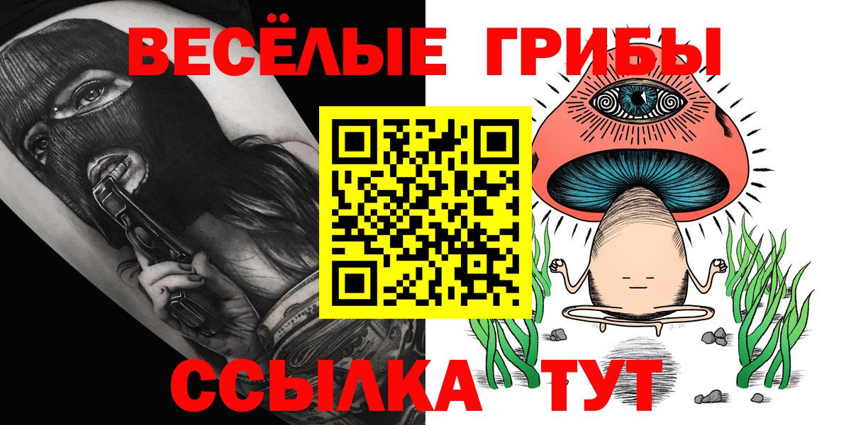 Галлюциногенные грибы Psilocybe Зеленокумск