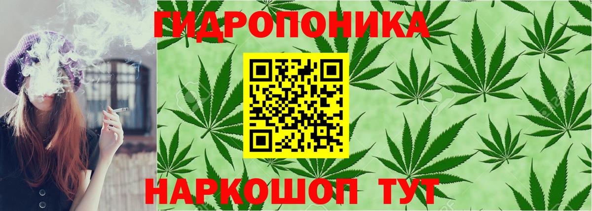 Каннабис White Widow  Шишки марихуана план  Бошки марихуана VHQ  Зеленокумск  Вход с VPN 
